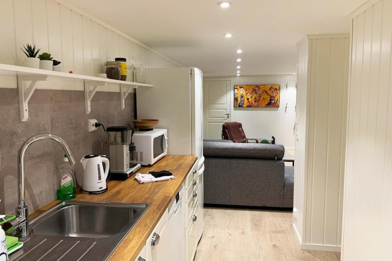 Newly Renovated Basement Apartment Sarpsborg Extérieur photo